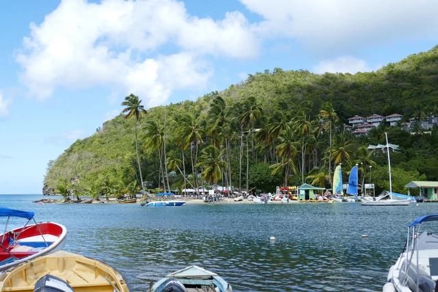 sail away